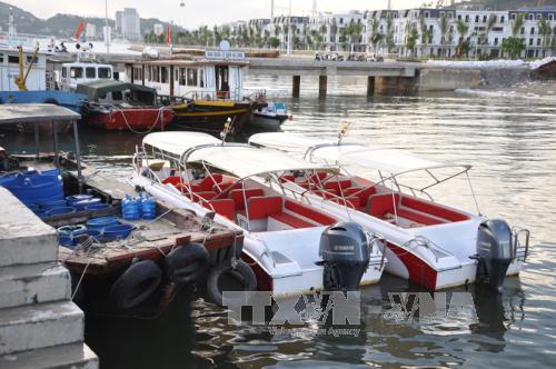 Tạm giữ 3 tàu chở khách tham quan vịnh Hạ Long trái phép ảnh 1
